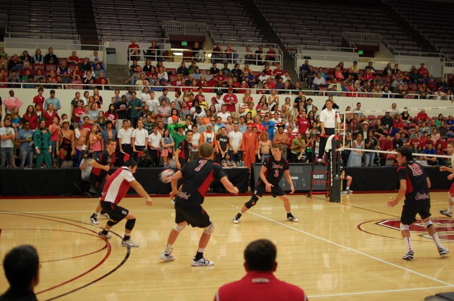 Discontinuation of Stanfords Men’s Volleyball has Large Effect