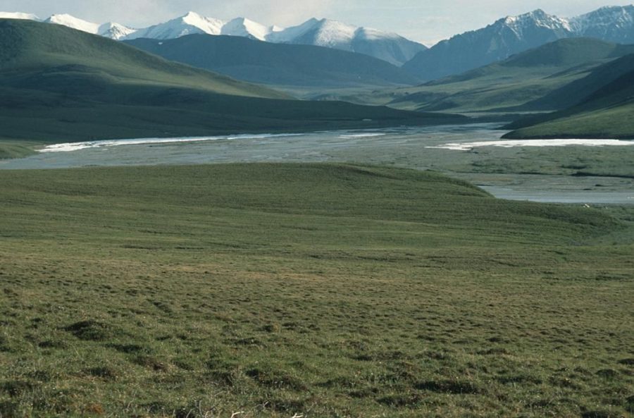 Article National Wildlife Refuge, Alaska