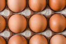 Eggalicous!