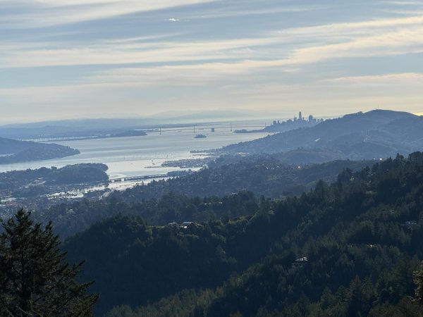 Best Hikes in the Bay